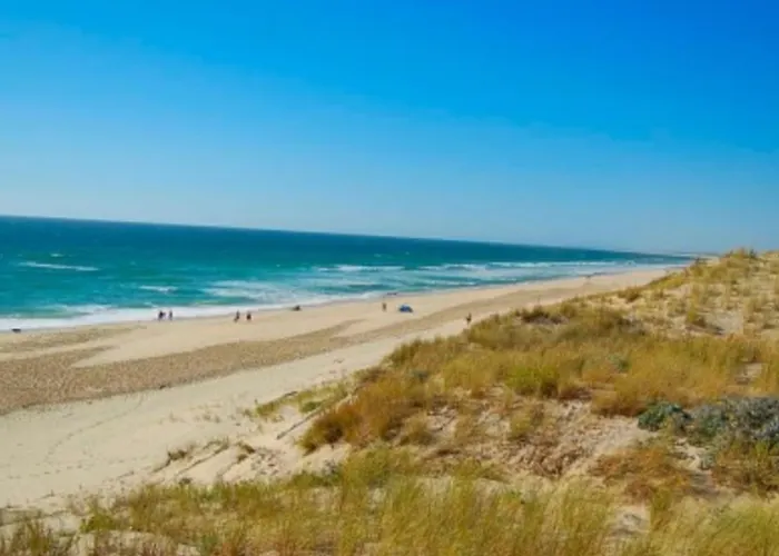 Voltaire Сеньос